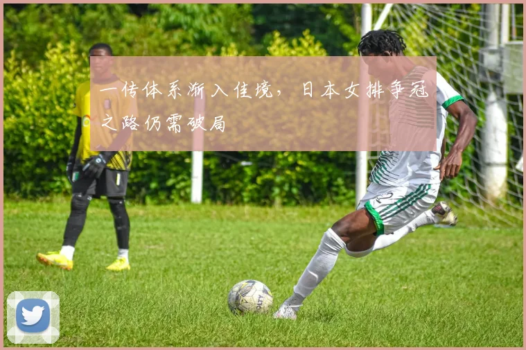 一传体系渐入佳境,日本女排争冠之路仍需破局
